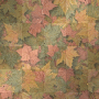 fall scrap leaves +myates7 fall scrap leaves +myates7