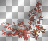 AJESIEN, autumn, fall, transparent 