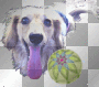koo-chyan.2
