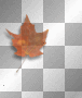 ☺©Autumn Leaf®☺ ☺©Autumn Leaf®☺
