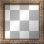frame animal print