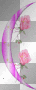 rosas y luna