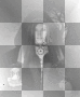 Femme