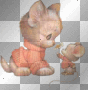 cat and mouse