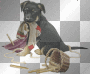 nice dog