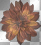 flower flower