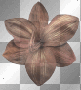 flower..