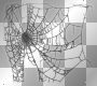 halloween spider