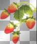 Fraises