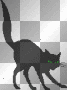 Halloween cat