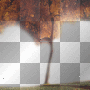 AJESIEN  AUTUMN FALL TRANSPARENT 