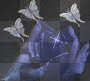 Butterfly Background