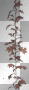 AJESIEN, autumn, fall, transparent, FRAME
