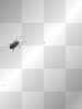 Im gonna bug u