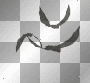 bats