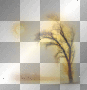AJESIEN AUTUMN FALL TRANSPARENT AJESIEN AUTUMN FALL TRANSPARENT