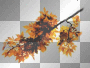AJESIEN AUTUMN FALL TRANSPARENT AJESIEN AUTUMN FALL TRANSPARENT