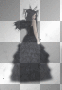 dark angel