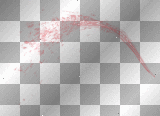 ☺©Water/Blood Spurt - Right®☺