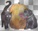 HELUS HALLOWEEN BACKGROUND ANIMATED 