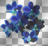 Royal Blues 