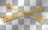 Bones