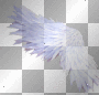 Left Wild White Wing