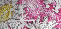 Flowers Pink & Yellow Glitter! ^^