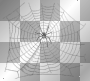 SPIDER DECO HALLOWEEN! MILADYNANCY!