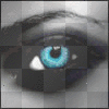 Eyes