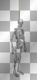 SKELETON..