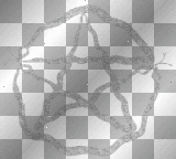 Silver Pagan Snakes