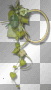 framev  ©dK