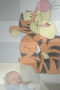 The Wonderful thing about Tiggers