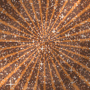 Spiral Spinning Glitter BG~Orange