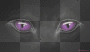 eyes -xxmervexx-
