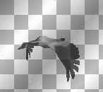 Duck-BT