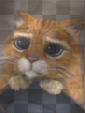 Gato con Botas - Boot's Cat