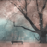 First Snowfall