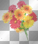 flowers/allicee