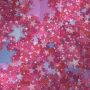 star bg(pink) star bg(pink)