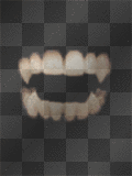 Vamp teeth Vamp teeth