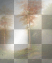autumn background autumn background