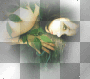 leaves woman