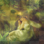 Sleeping fairy