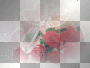 VINTAGE LoVe / swAnnA VINTAGE LoVe / swAnnA