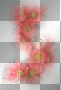 red flowers