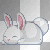 white rabbit