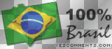 100% Brasil