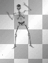 Bonez